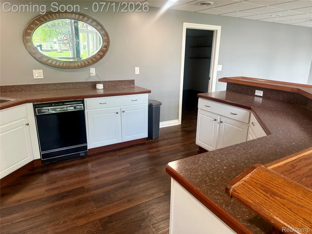 3780 Lake Lapeer Drive Elba Township, MI 48455