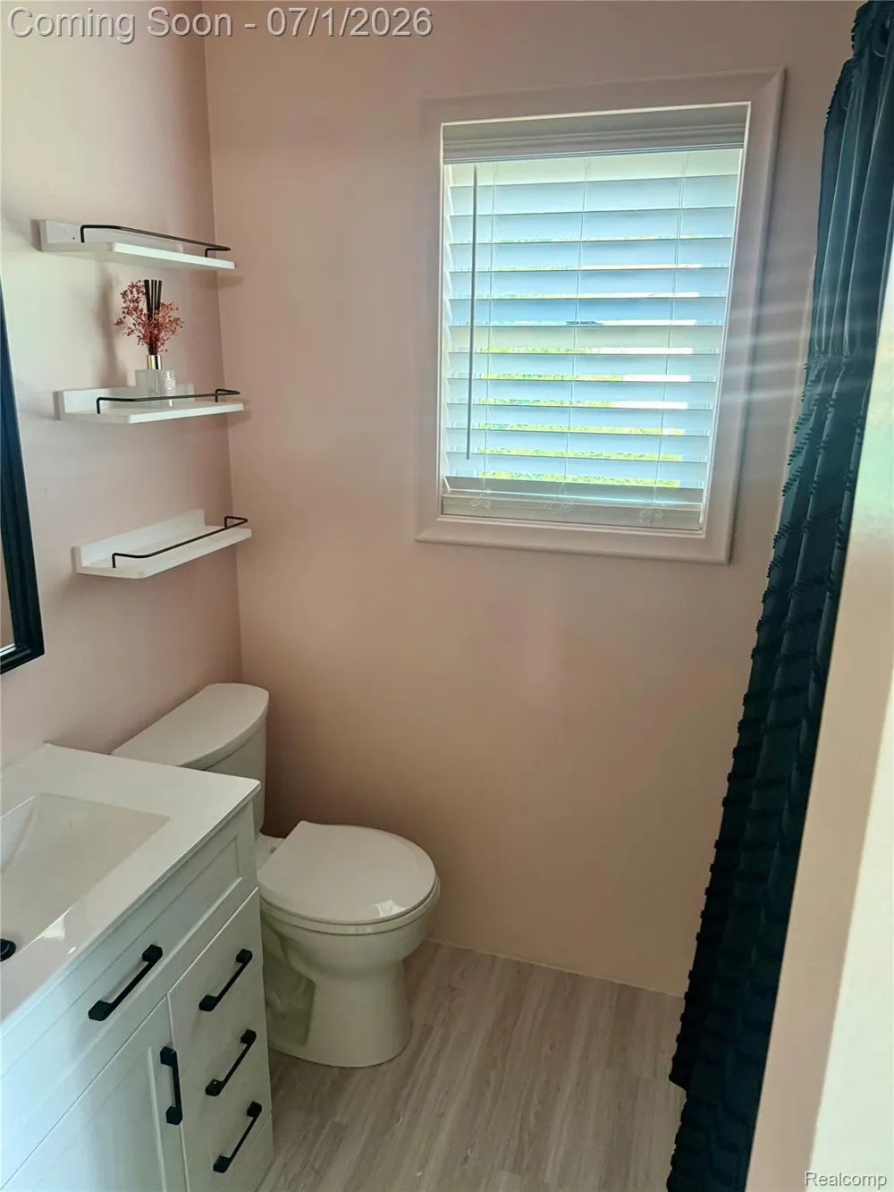 3780 Lake Lapeer Drive Elba Township, MI 48455