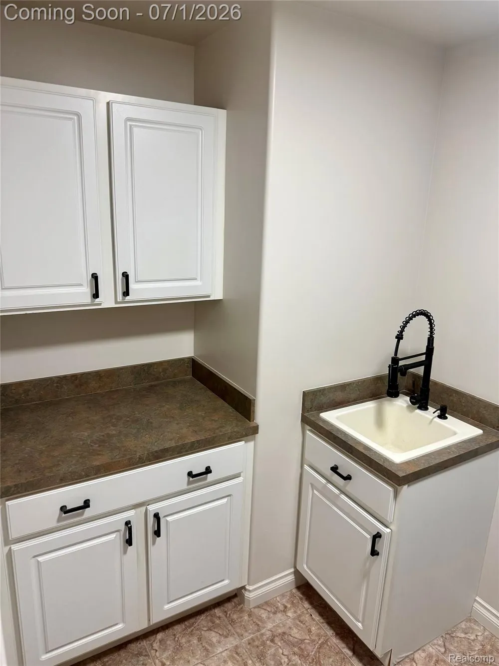 3780 Lake Lapeer Drive Elba Township, MI 48455