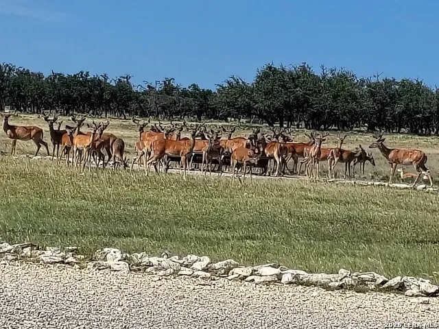 988 S D 71600 Rocksprings, TX 78880