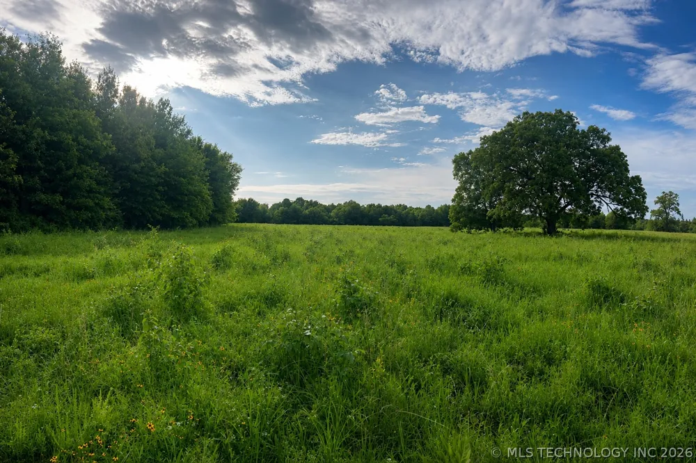 56506 US Hwy 271 Talihina, OK 74571