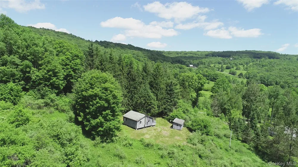 2636 Murphy Hill Road Andes, NY 13731