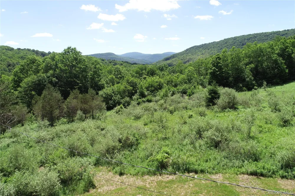 2636 Murphy Hill Road Andes, NY 13731