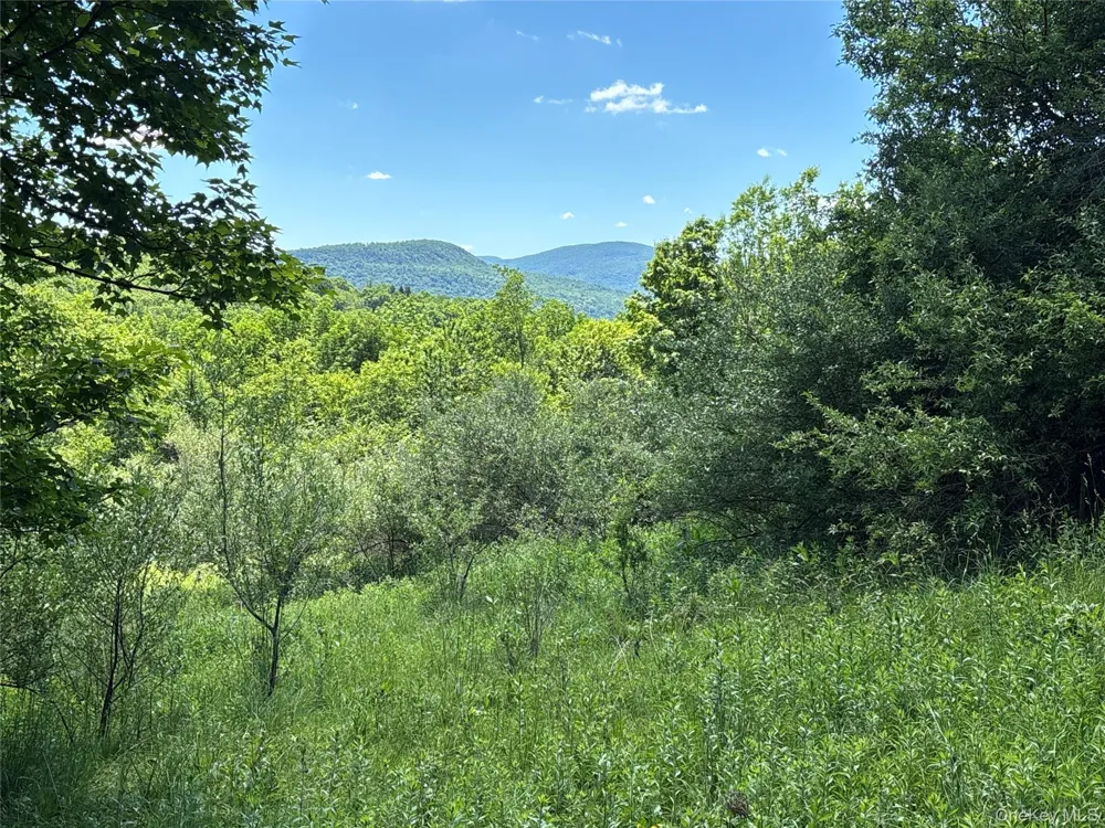 2636 Murphy Hill Road Andes, NY 13731