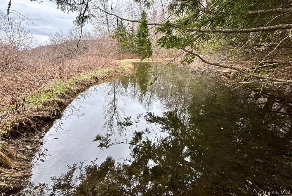 2636 Murphy Hill Road Andes, NY 13731