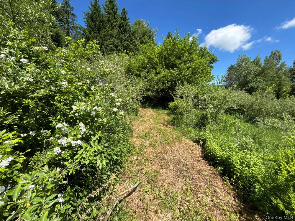 2636 Murphy Hill Road Andes, NY 13731