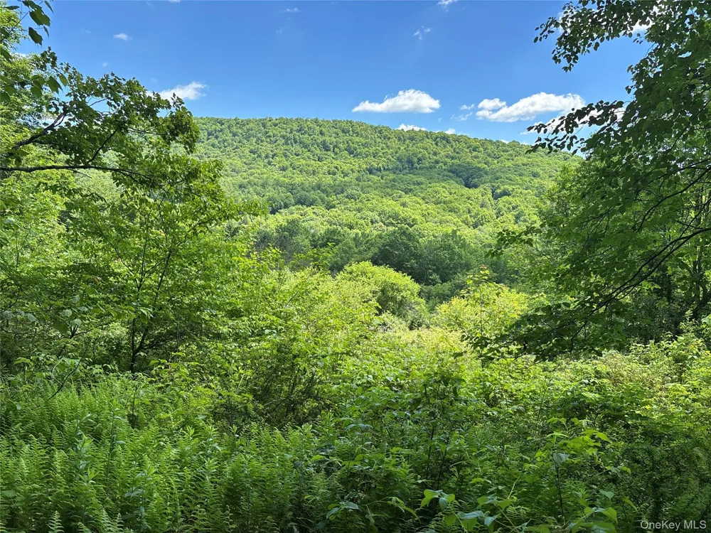 2636 Murphy Hill Road Andes, NY 13731