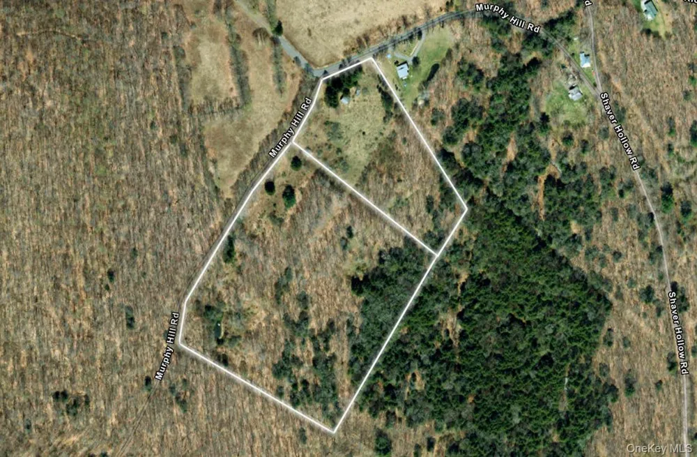 2636 Murphy Hill Road Andes, NY 13731