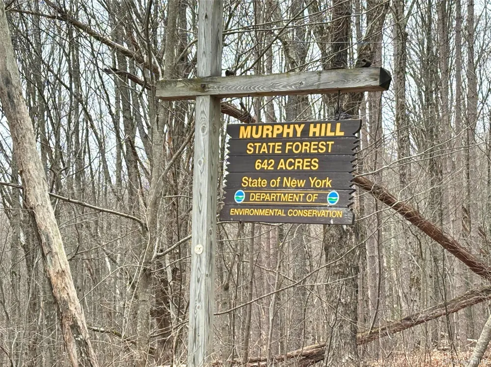 2636 Murphy Hill Road Andes, NY 13731