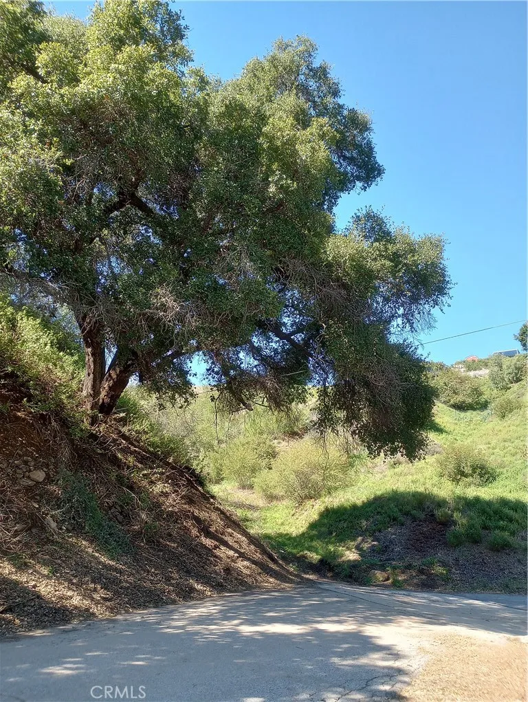 Old Chimney Road Malibu, CA 90265