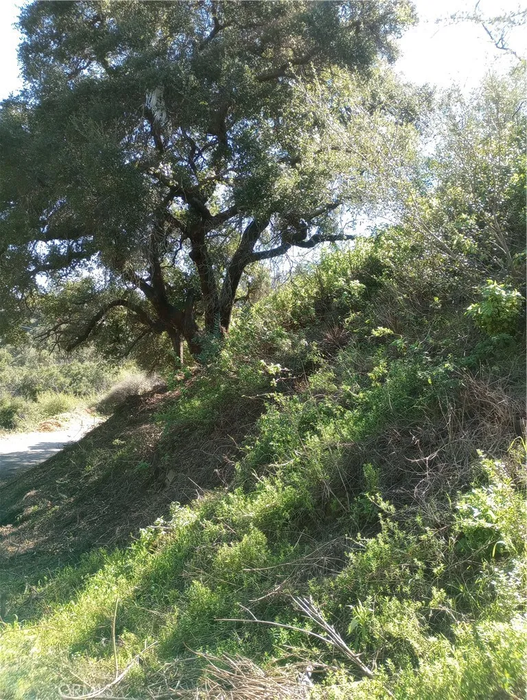 Old Chimney Road Malibu, CA 90265