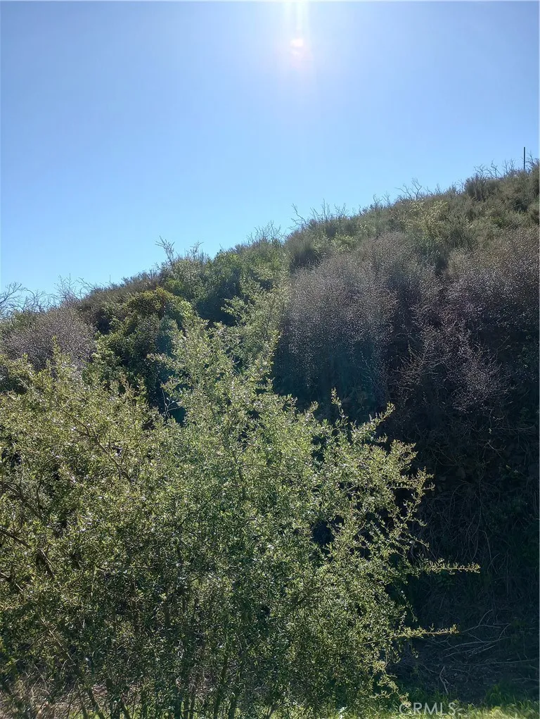 Old Chimney Road Malibu, CA 90265