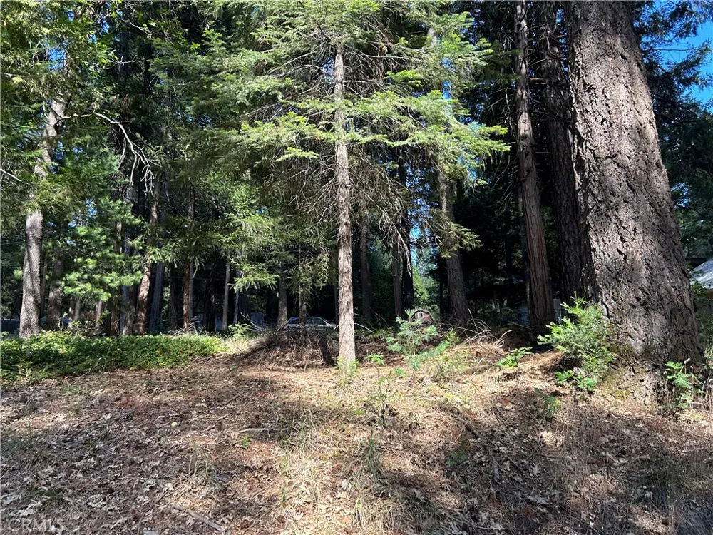 Bridgeport Magalia, CA 95954