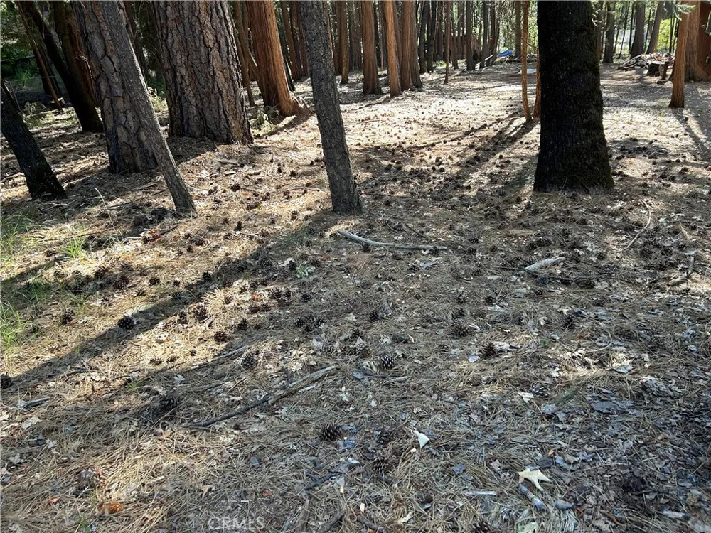Bridgeport Magalia, CA 95954