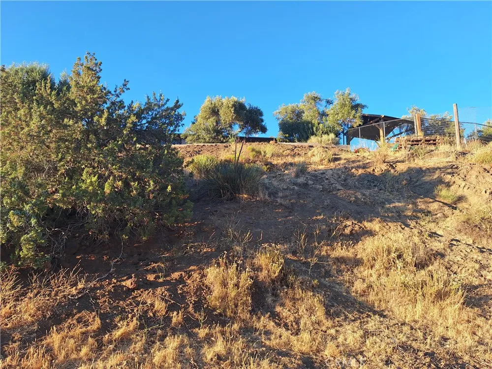 31312 Indian Oak Acton, CA 93510