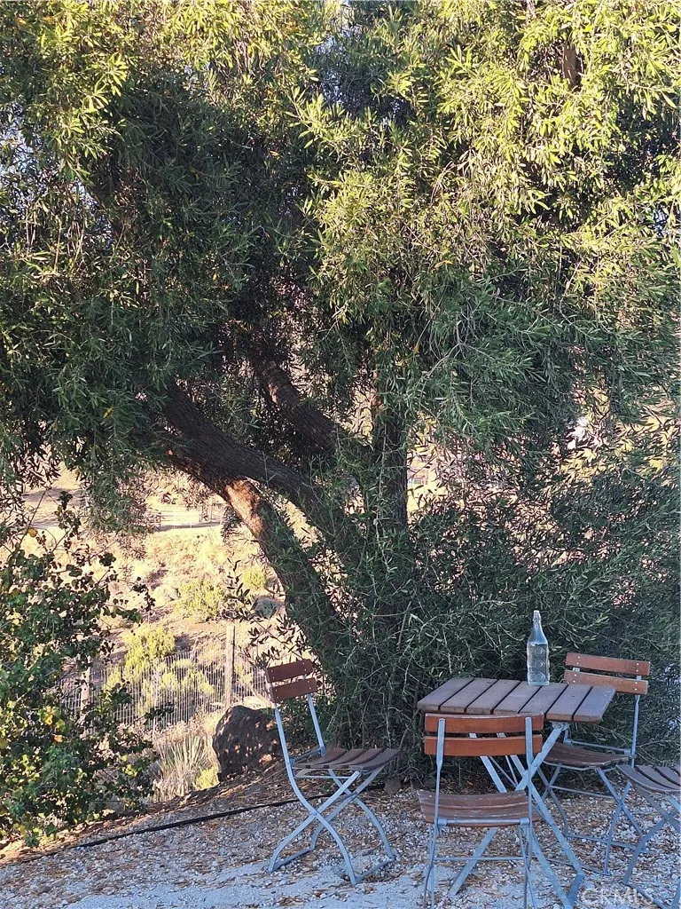31312 Indian Oak Acton, CA 93510