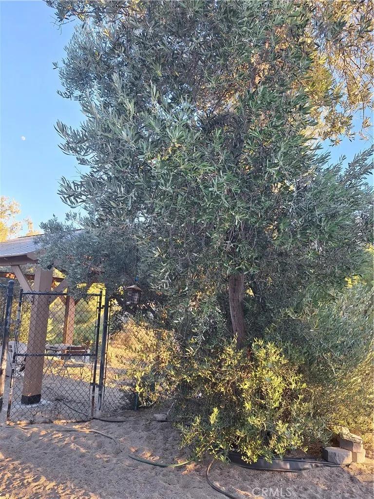31312 Indian Oak Acton, CA 93510