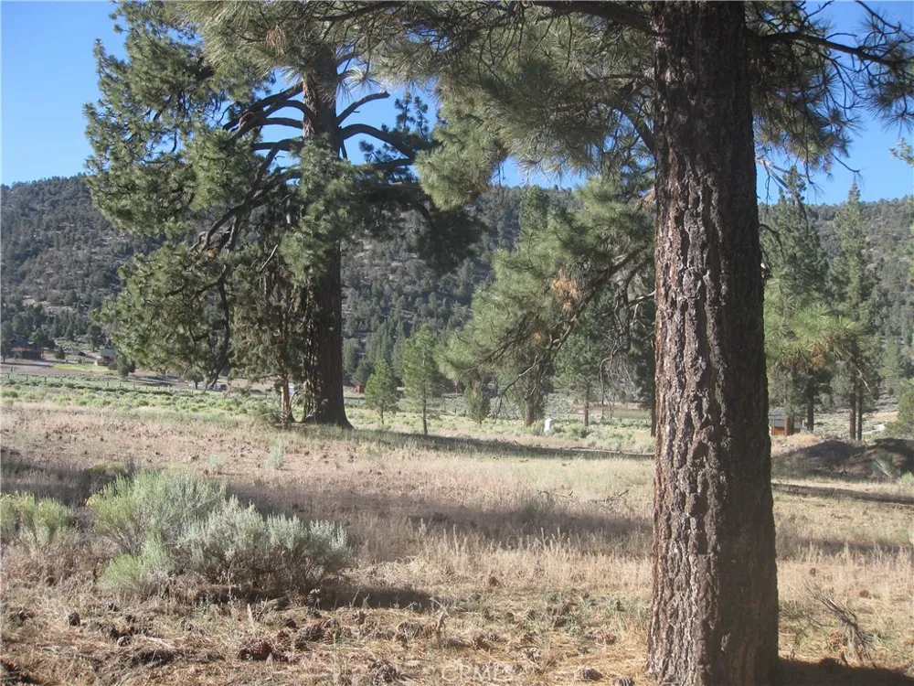2824 Erwin Ranch Road Big Bear City, CA 92314