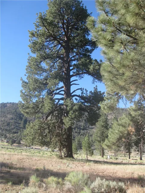 2824 Erwin Ranch Road