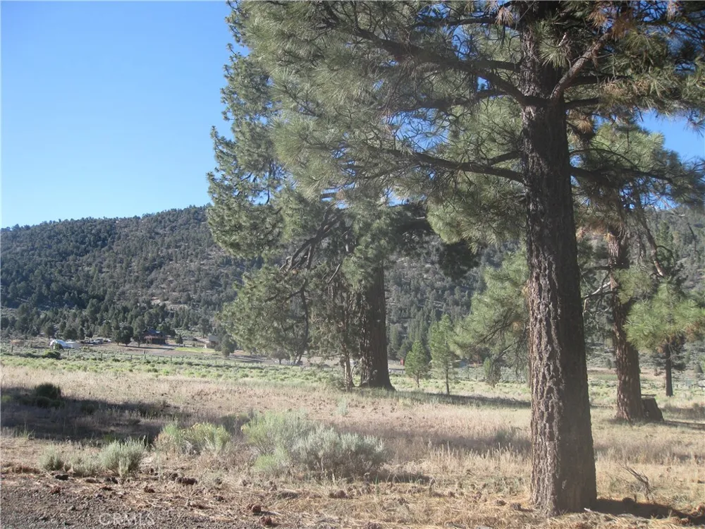 2824 Erwin Ranch Road Big Bear City, CA 92314