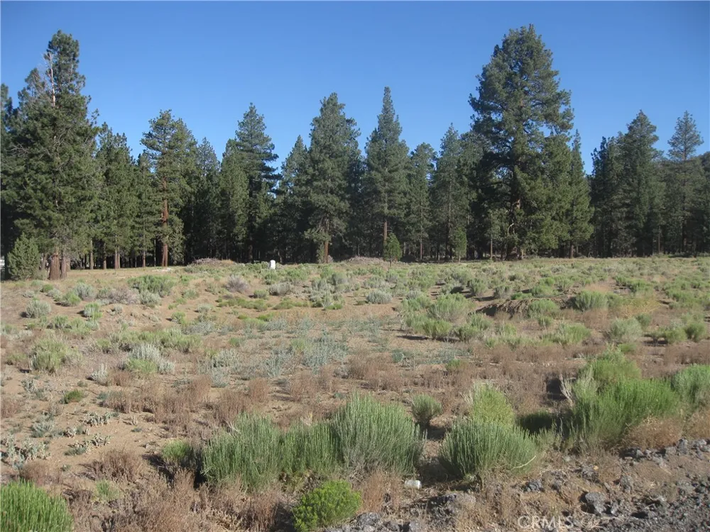 2824 Erwin Ranch Road Big Bear City, CA 92314