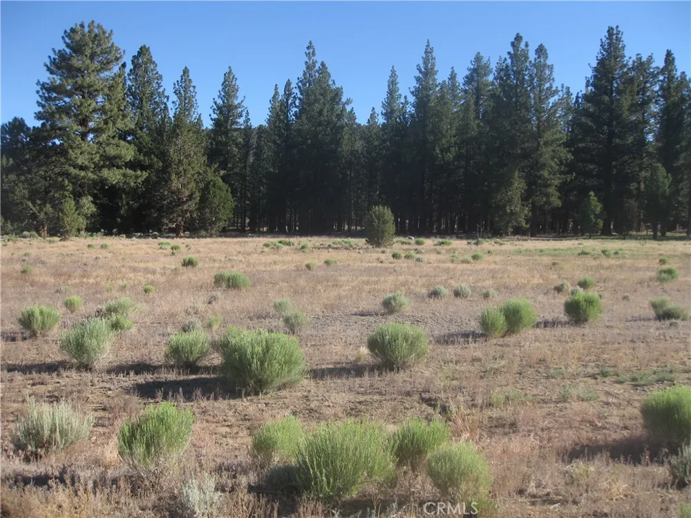 2818 Erwin Ranch Rd Big Bear City, CA 92314