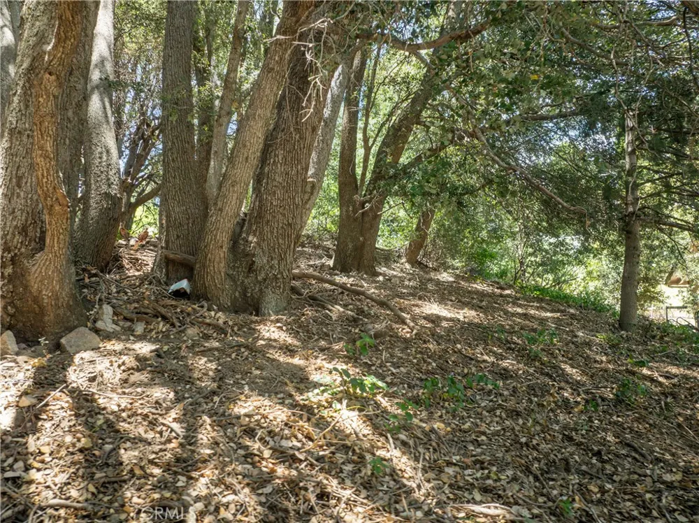 2727 Delle Crestline, CA 92325