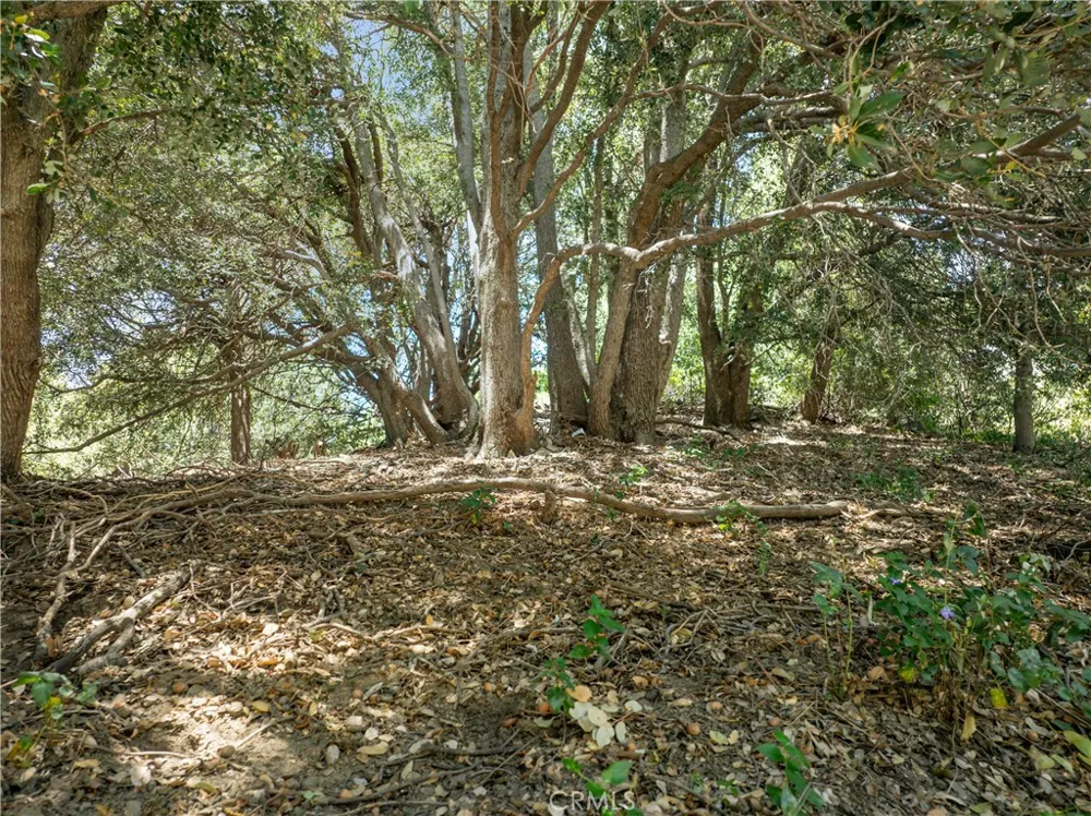 2727 Delle Crestline, CA 92325