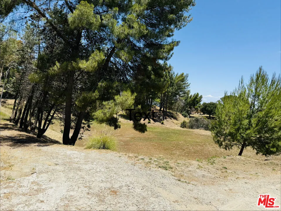 22030 Saddlepeak Topanga, CA 90290