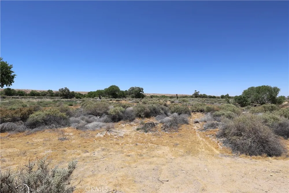 Bryman Road Oro Grande, CA 92368
