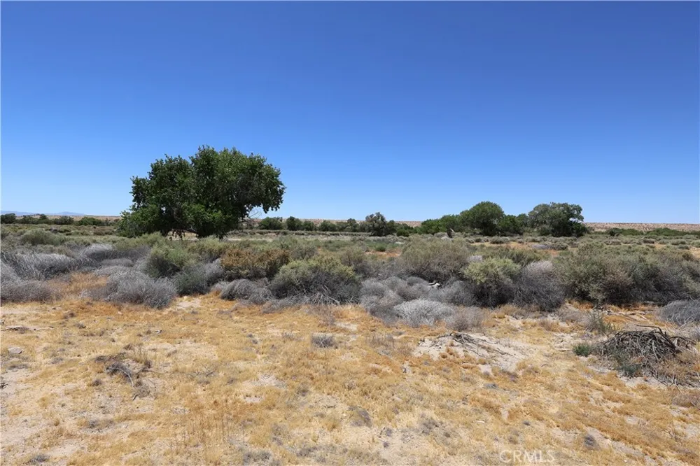 Bryman Road Oro Grande, CA 92368