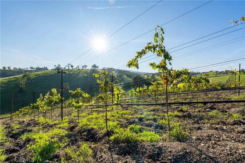 550 Villa Lots Rd Paso Robles, CA 93446