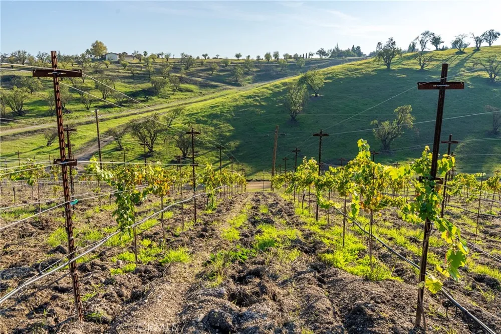 550 Villa Lots Rd Paso Robles, CA 93446