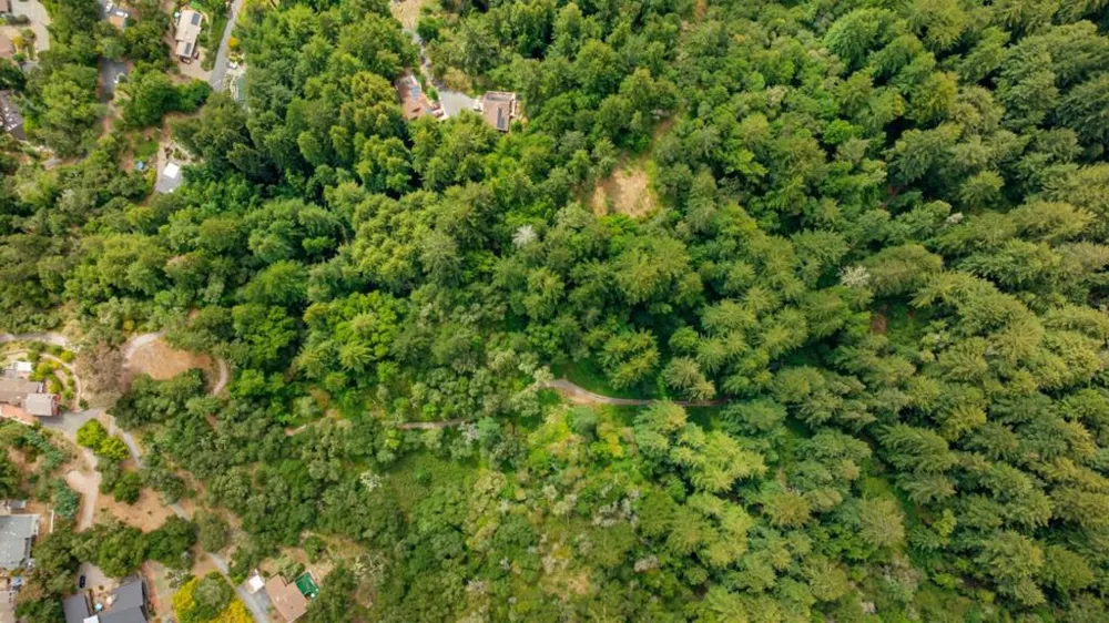 27 Willis Road Scotts Valley, CA 95066