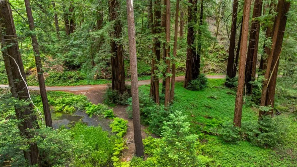27 Willis Road Scotts Valley, CA 95066