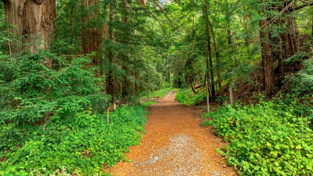 27 Willis Road Scotts Valley, CA 95066