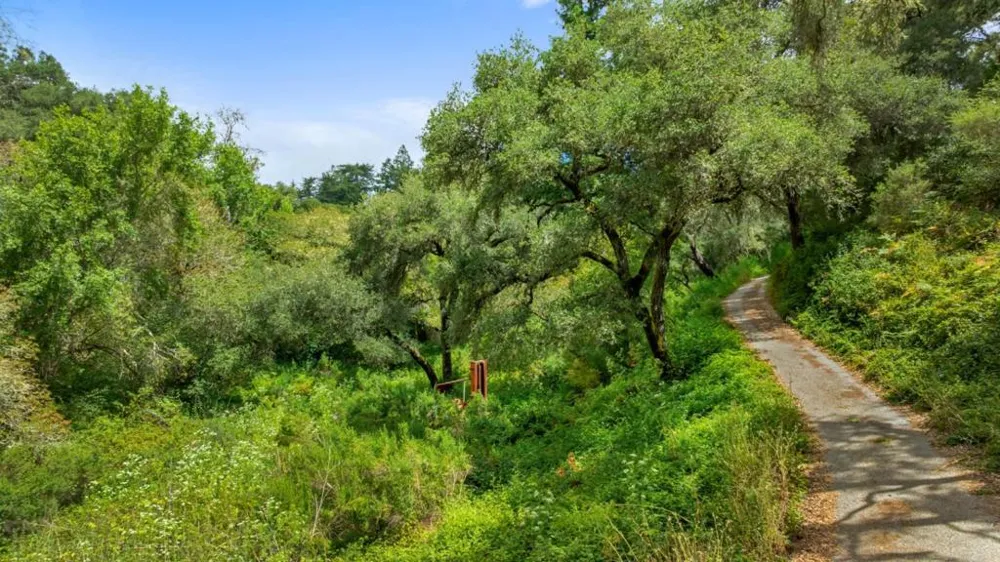 27 Willis Road Scotts Valley, CA 95066