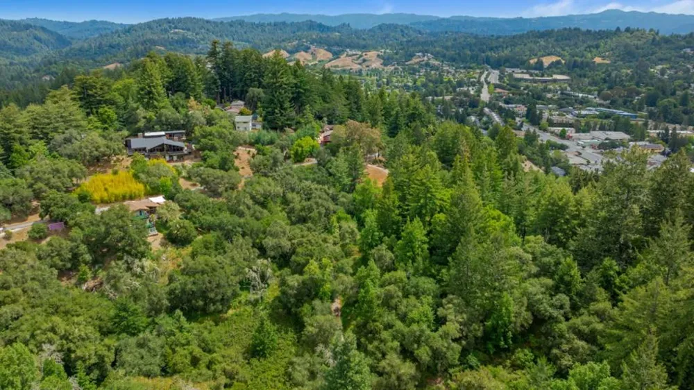 27 Willis Road Scotts Valley, CA 95066