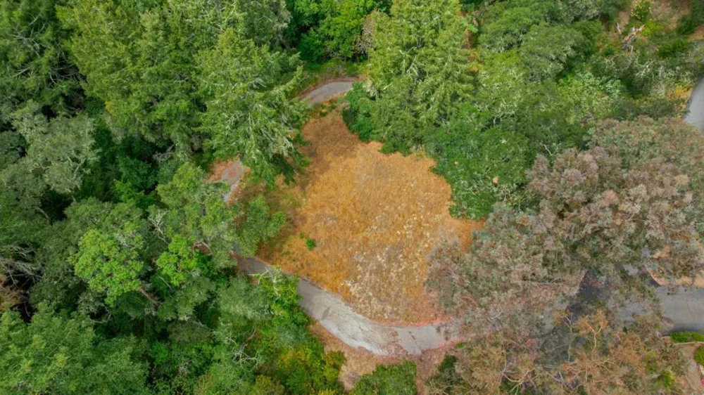 27 Willis Road Scotts Valley, CA 95066