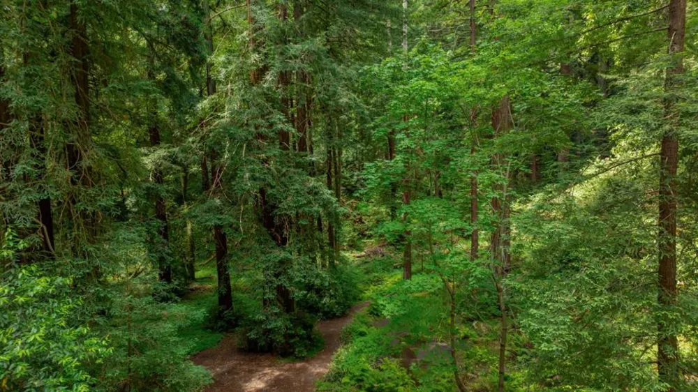 27 Willis Road Scotts Valley, CA 95066