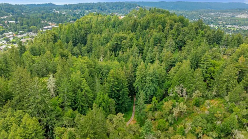 27 Willis Road Scotts Valley, CA 95066