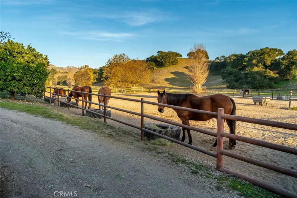 2520 Nightshade Place Arroyo Grande, CA 93420