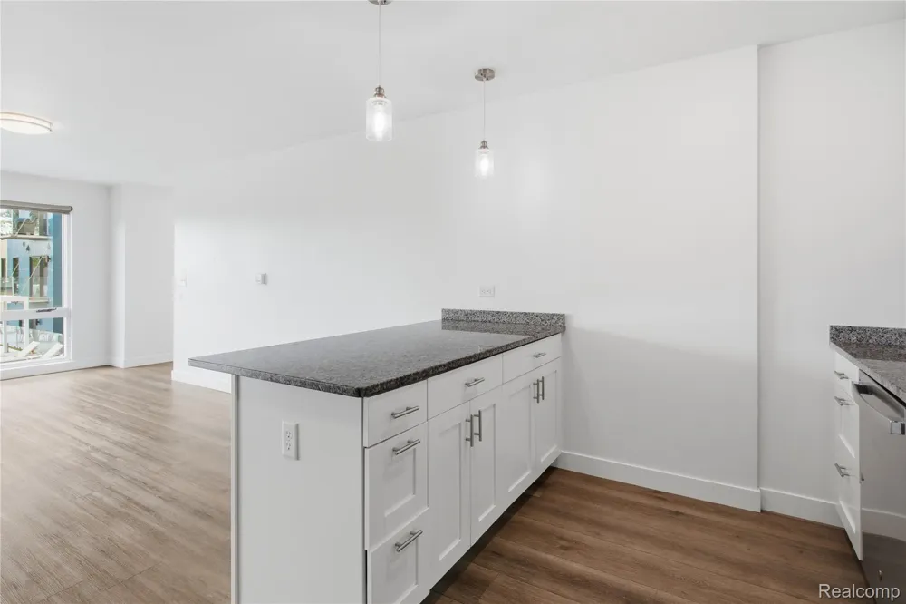 166 Oak St. Street #304 Wyandotte City, MI 48192