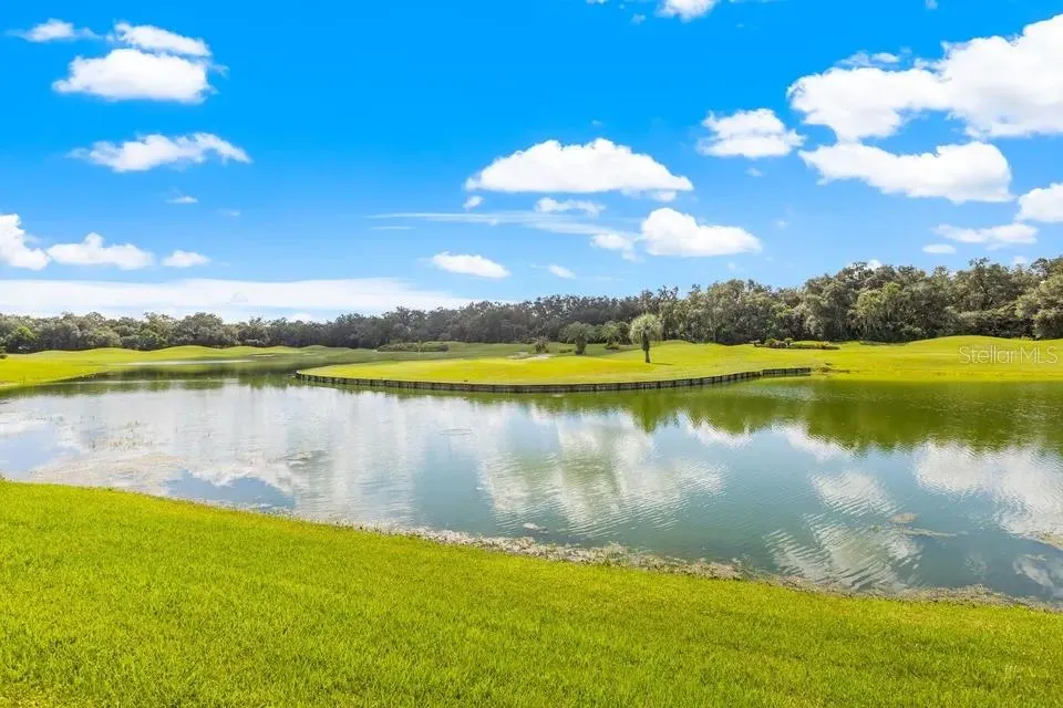 30324 LAURELWOOD LANE Wesley Chapel, FL 33543