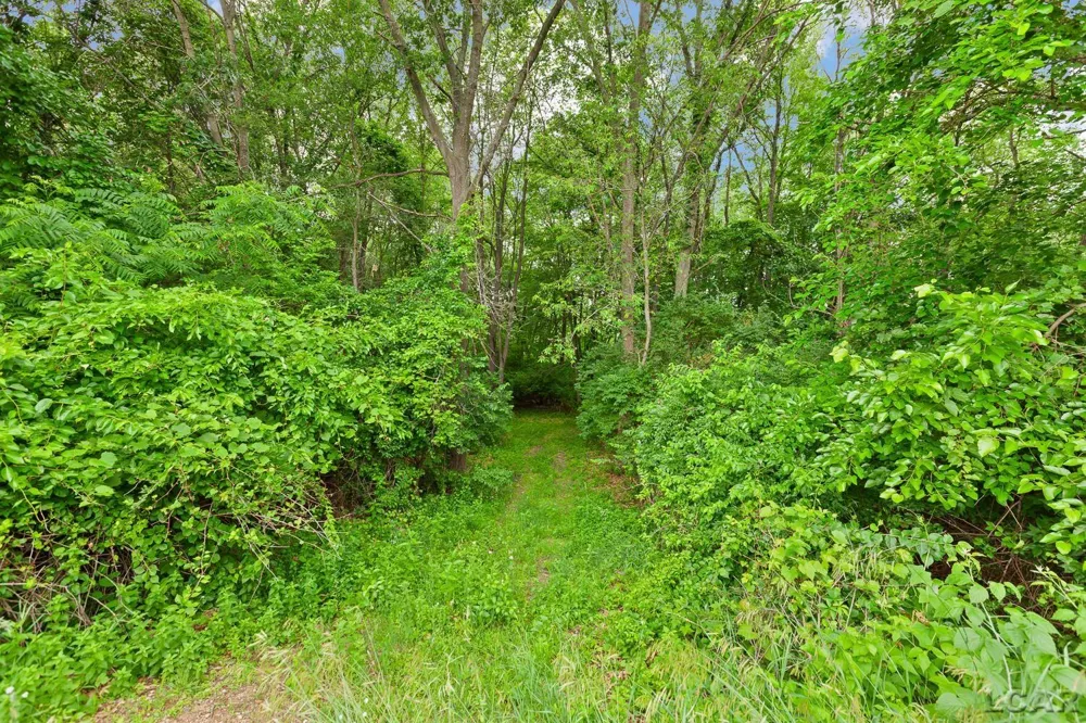 2010 S Kane Road White Oak Township, MI 49285