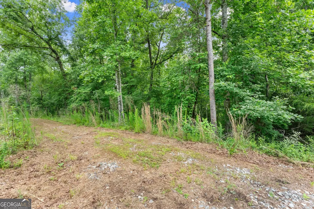 LOT 34 Lakemont TRL Demorest, GA 30535
