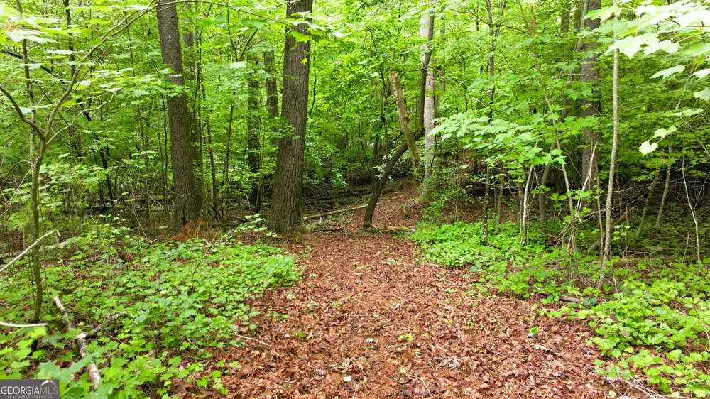 575 Hidden Valley DR Demorest, GA 30535