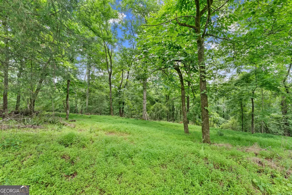 LOT 35 Lakemont TRL Demorest, GA 30535