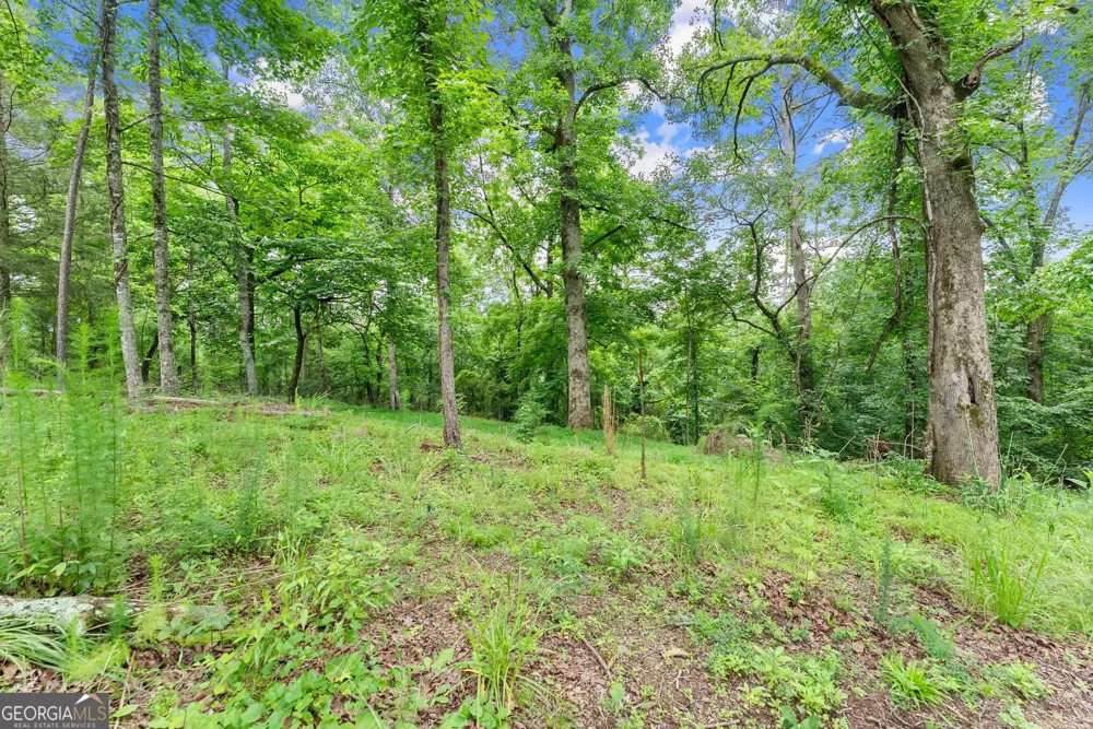 LOT 35 Lakemont TRL Demorest, GA 30535