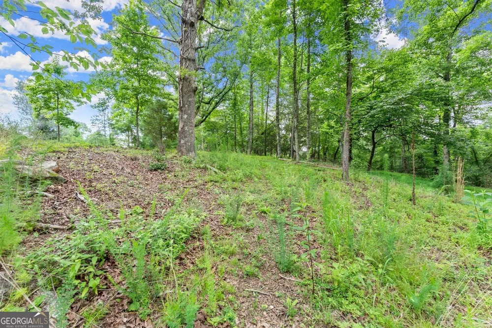 LOT 35 Lakemont TRL Demorest, GA 30535